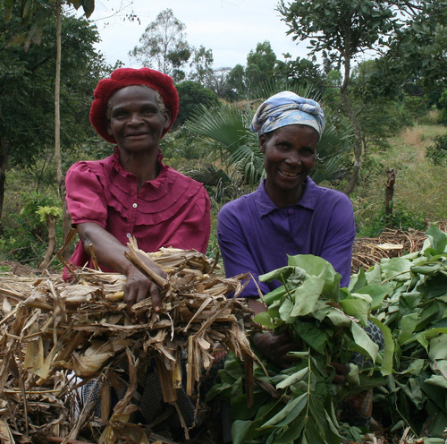 Two farmers in Malawi with their harvest..