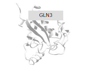GLN.png