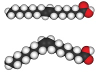 1: Lipid Structure