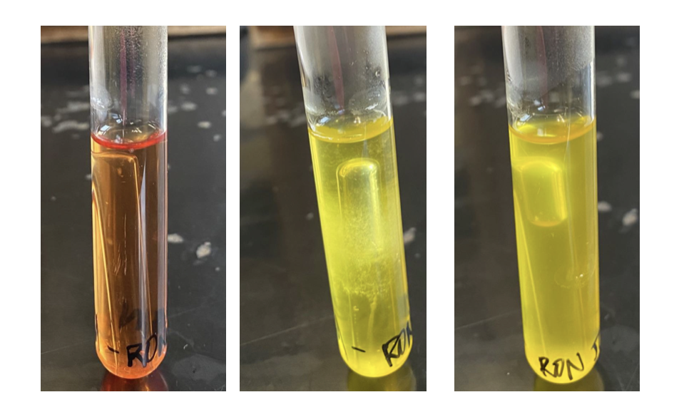 examples of phenol red broth results