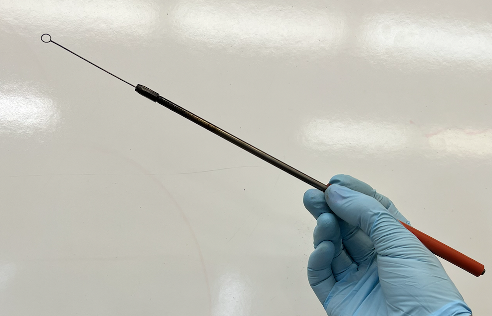 proper technique for holding an inoculating loop