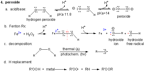 A3. The Reactions of Dioxygen and its Reduction Products Biology