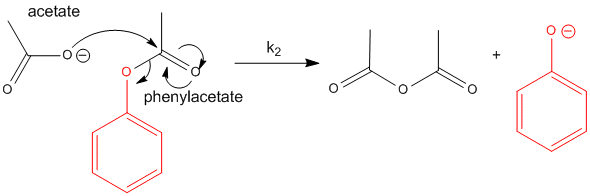 cat-phenylacetate1.gif