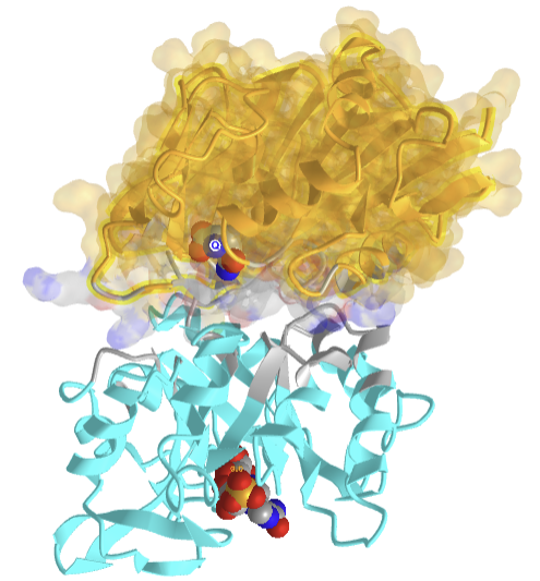Heterodimeric imidazole glycerol phosphate synthase complex (7AC8).png