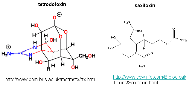 tetrodosaxitoxin.gif
