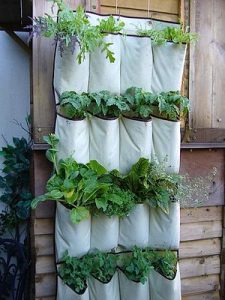 A large rectangular piece of fabric hangs against the wall. Pockets of fabric are evenly spaced all along the front of the fabric with plants growing out of each pocket.