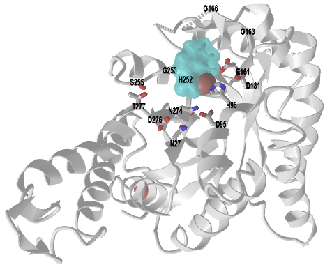 Noncompetitive inhibitor of M. tuberculosis's class IIa fructose 1,6-bisphosphate aldolase (4LV4).png