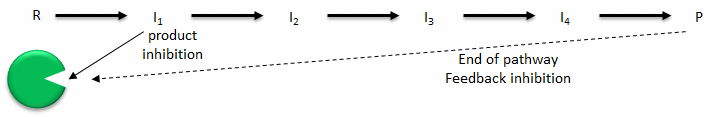 ProductEnzPathwayFeedbackInhib.gif