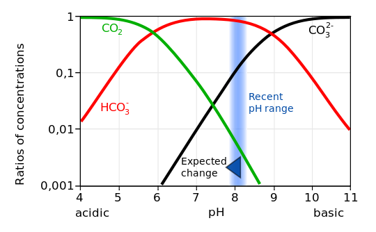 A graph of pH and ratios of concentrations shows that carbon dioxide starts at a ratio of concentration of one when acidic, then decreases. Bicarbonate has a concentration ratio of 0.01 when acidic, which increases towards a pH of seven, then decreases again. Carbonate has a concentration ratio of 0.001 at a pH of 6 and increases as the pH becomes more basic.