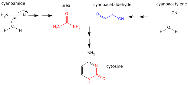 abioticCsynthesis0.gif