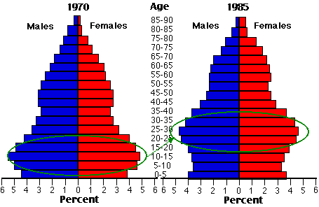 Age structure diagrams of the United States in 1970 and 1985