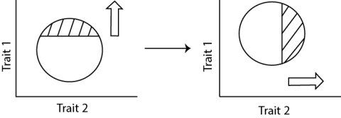 Figure depicts tandem selection for one trait sequentially with thresholds and selection intensity being independent of the trait selected before.