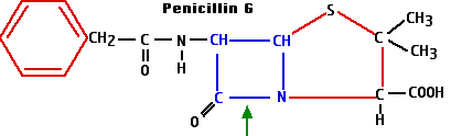 PenicillinG.png