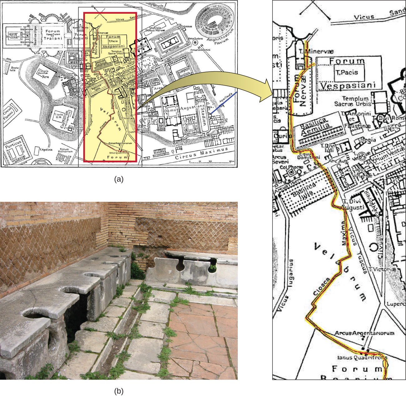 Figure a is a map of a city containing a stadium, forum, and other structures. Running through the center of the city is a red line. Figure b is a photograph of a corner of a room. There is a trough between the walls and the floor. This trough is covered with stone benches that have large holes (as for a toilet) in the bench. The holes span the top and front of the bench. There are six holes visible in the bench that runs along one side of the image and two more in the bench along the other side. The image does not show the entire room so there are likely more available spots in this room.