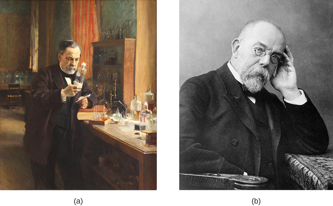 Kielelezo a ni kuchora ya Louis Pasteur katika maabara yake. Kielelezo b ni picha ya Robert Koch.