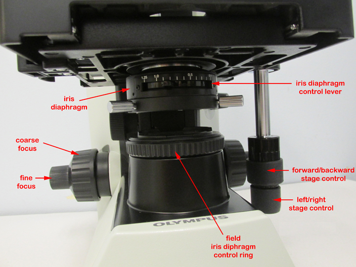 Photograph of the iris diaphragm and stage of an Olympus CX312 Microscope with labelled parts.