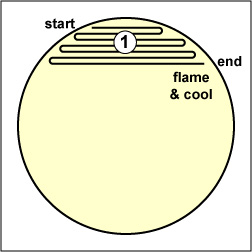 Illustration showing how to streak sector 1 of a petri plate: 5 sector method.