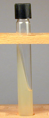 Photograph of a slant tube (side view).