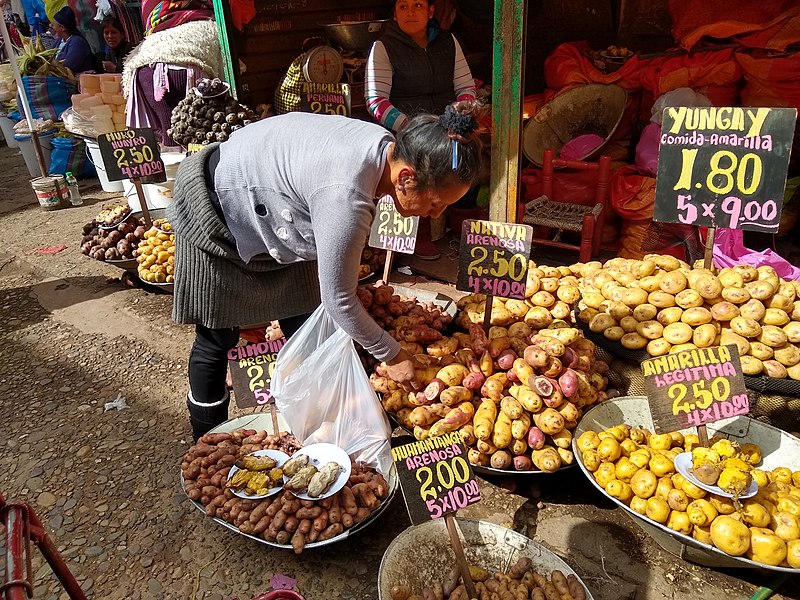 A woman wearing a gray sweater and gray skirt stoops over many baskets of different colored potatoes to choose which she wants to buy.