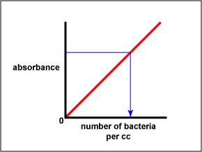 Illustration showing how to determine the number of bacteria on a standard curve based on that samples absorbance.