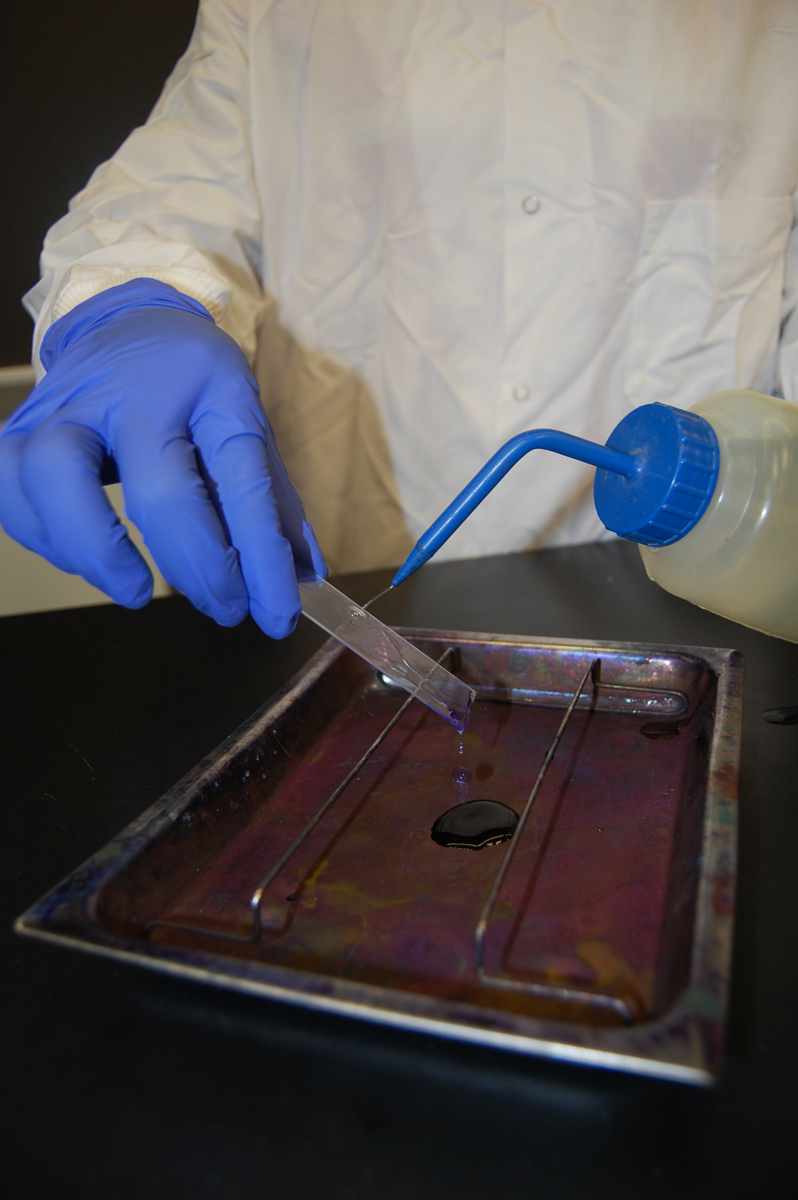 Photograph showing how to gently wash the slide with deionized water.