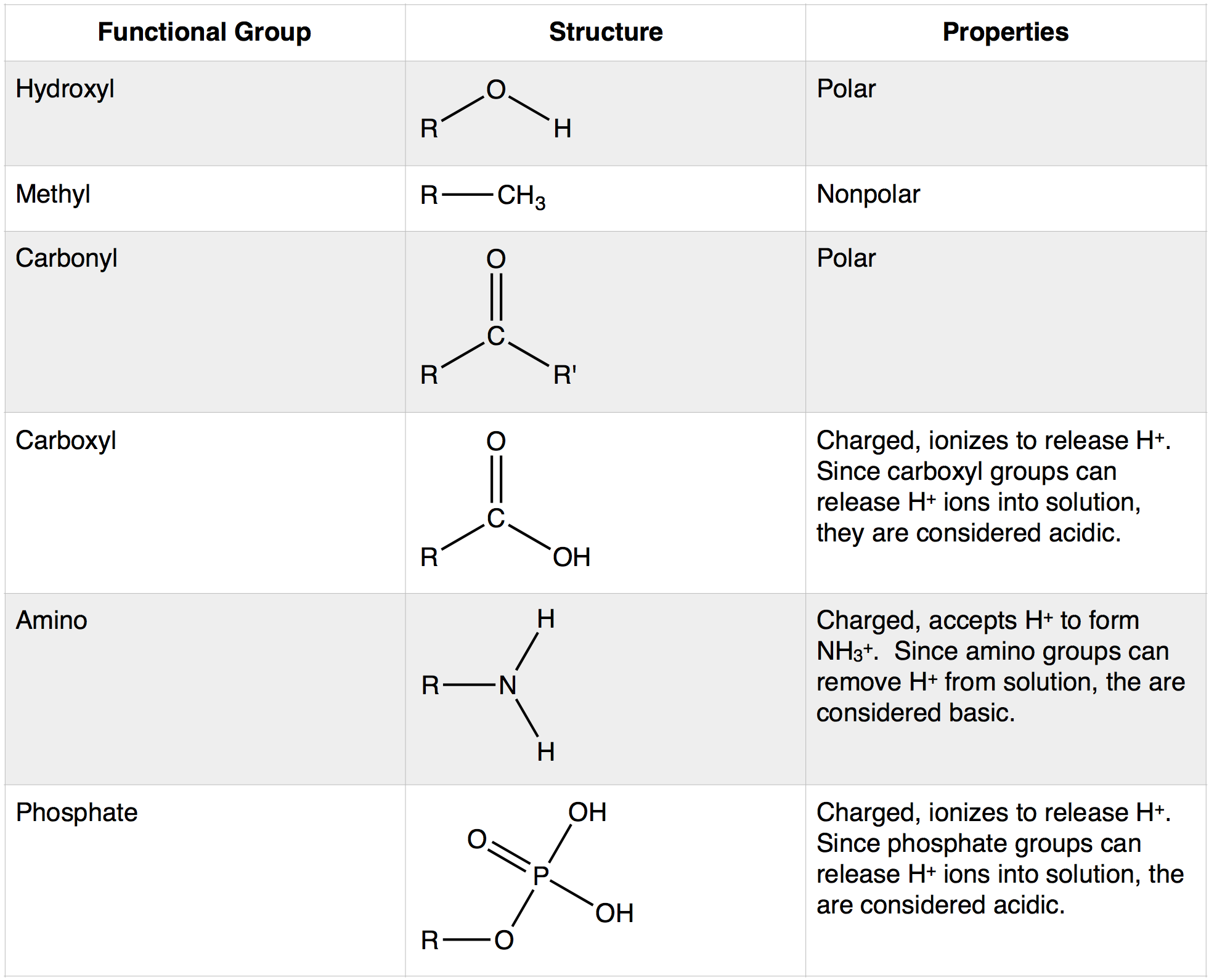 Biology Functional Groups Chart