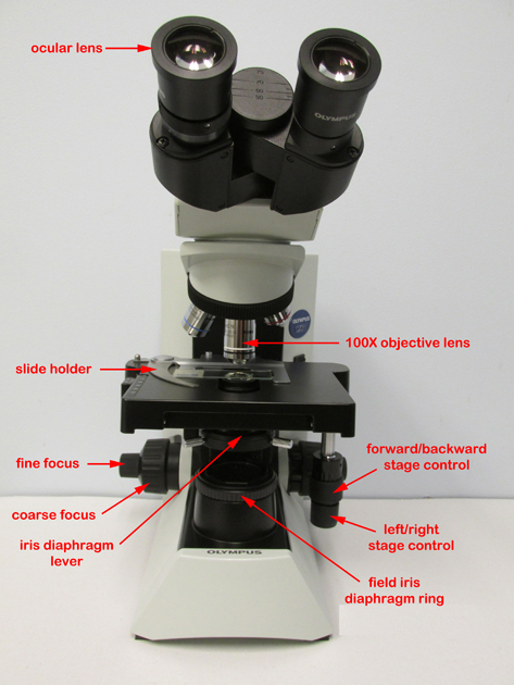 Photograph of an Olympus CX312 Microscope with labelled parts.