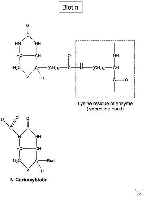36 biotinchemdraw.jpg