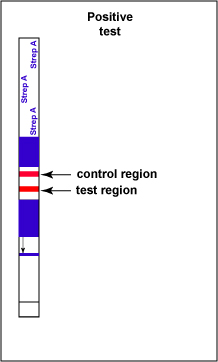 Illustration of a positive test for Group A Strepyococcus showing twp red bands.