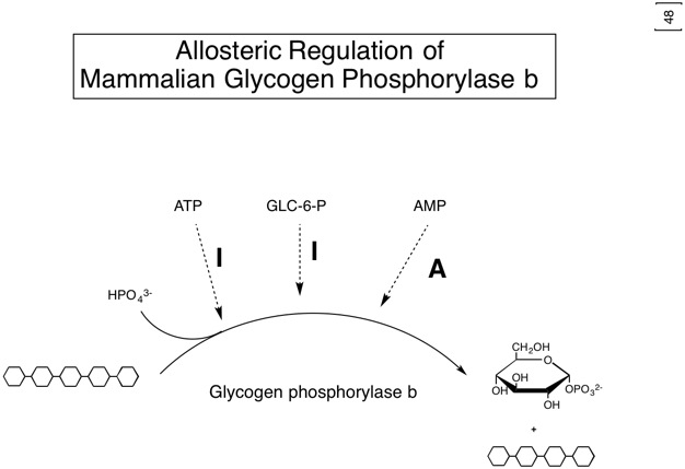 7: Principles And Examples Of Metabolic Regulation - Biology LibreTexts