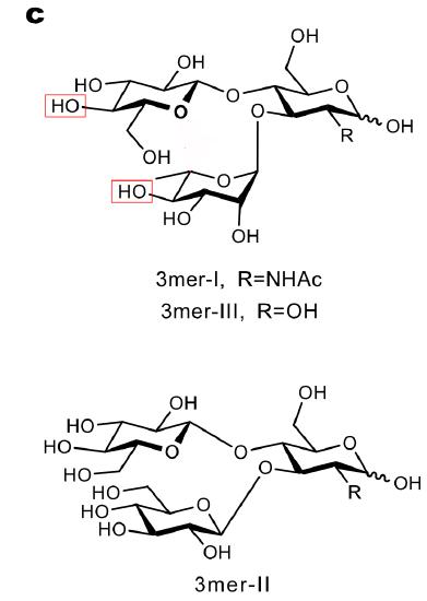 Synthesis of a glycan hairpinFig1CQuest1.jpg