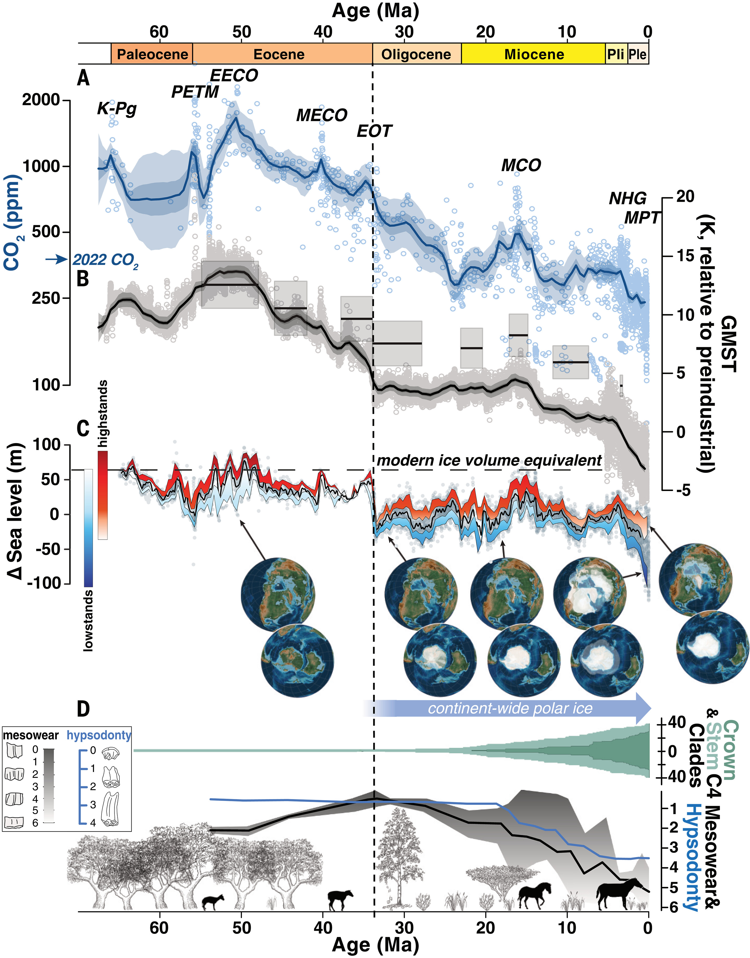 Toward a Cenozoic history of atmospheric CO2Fig2Sci.jpg