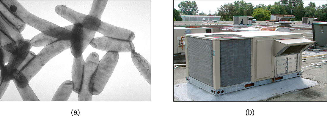 A) A micrograph of rod shaped cells. B) A photograph of an air conditioner.