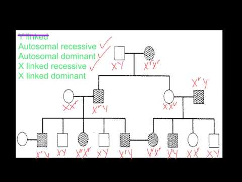 Thumbnail for the embedded element "Pedigree Analysis"