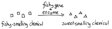 Image to accompany Answer 9b