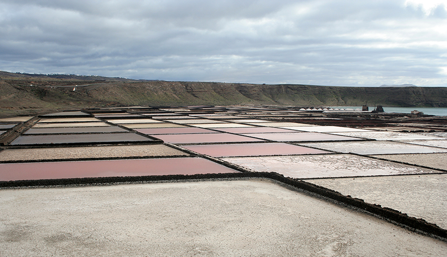 Una fotografía de campos rojos, blancos y rosados.