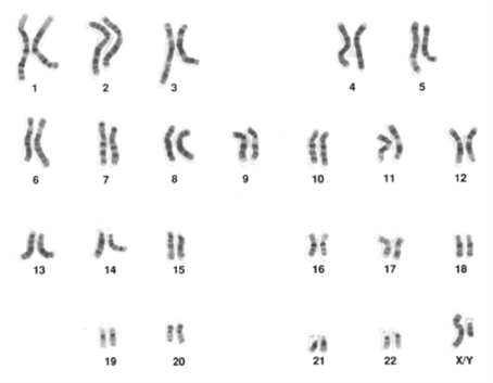 10.1: Introduction - Biology LibreTexts