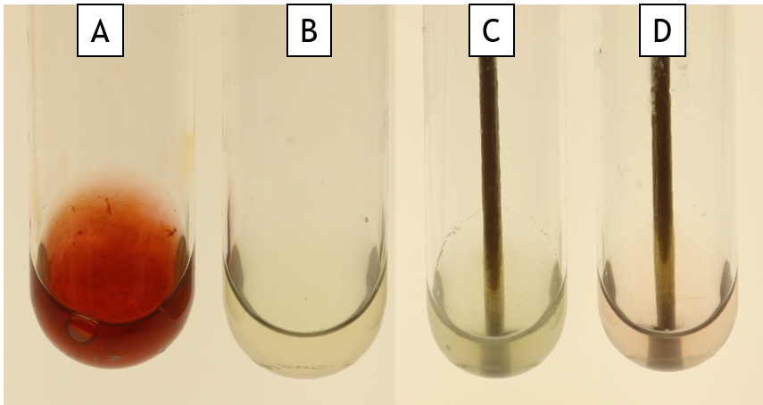 itrate reduction test after reagents A and B are added to the tubes.