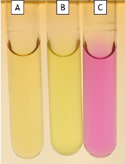 Urea broth