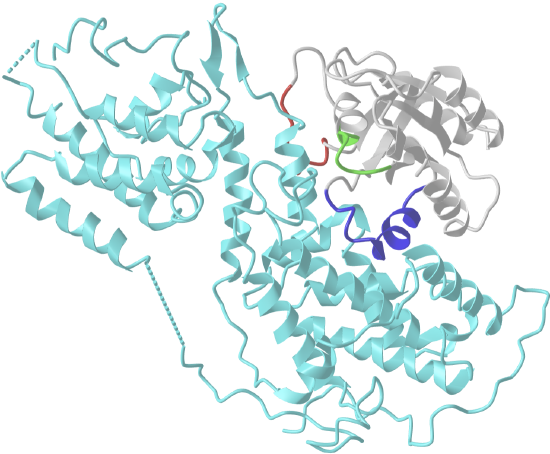 Ras and SOS (a GEF) complex (1bkd)4.png