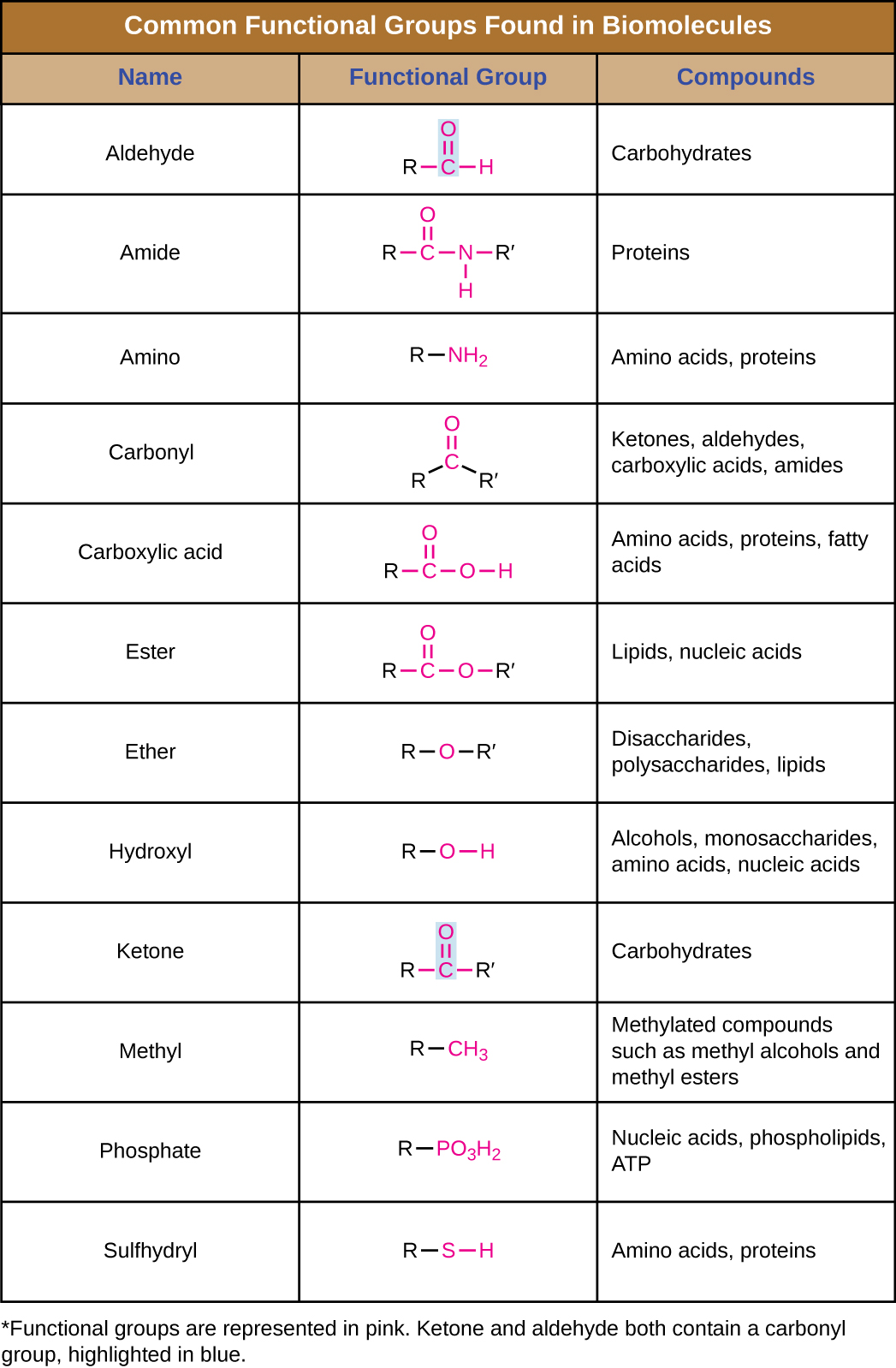 Table titled: Common functional groups found in biomolecules; 3 columns, name, functional group and class of compound.  Aldehyde has a red C  double bonded O and an H; the C is also bound to a black R. This is found in carbohydrates. Amine has a red C double bonded to an O and single bonded to an NH. The C and the N are each also bound to a black R. This is found in proteins. Amino has a red NH2 bound to a black R. This is found in amino acids and proteins. Phosphate has a red PO3H2; the P is also bound to a black R. This is found in nucleic acids, phospholipids and ATP. Carbonyl has a red C double bonded to an O; the C is also bound to 2 black Rs. This is found in ketones, aldehydes, carboxylic acids, amides. Carboxylic acid has a red C double bonded to an O and to an OH; the C is also bound to a black R. This is found in amino acids, proteins, and fatty acids. Ester has a red C double bonded to an O and single bonded to another O. The C is bound to a black R and the single bonded O is also bound to a black R. This is found in lipids and nucleic acids. Ether has a red O bound to 2 black Rs. This is found in disaccharides, polysaccharides, and lipids. Hydroxyl has a red OH bound to a black R; this is found in alcohols, monosaccharides, amino acids, and nucleic acids. Ketone has a red C double bonded to an O; the C is also bound to 2 black Rs. This is found in carbohydrates. Methyl has a red CH3 bound to a black R. This is found in methylated compounds such as methyl alcohols and methyl esters. Sulfhydryl has a black R bound to a red SH. This is found in amino acids and proteins.