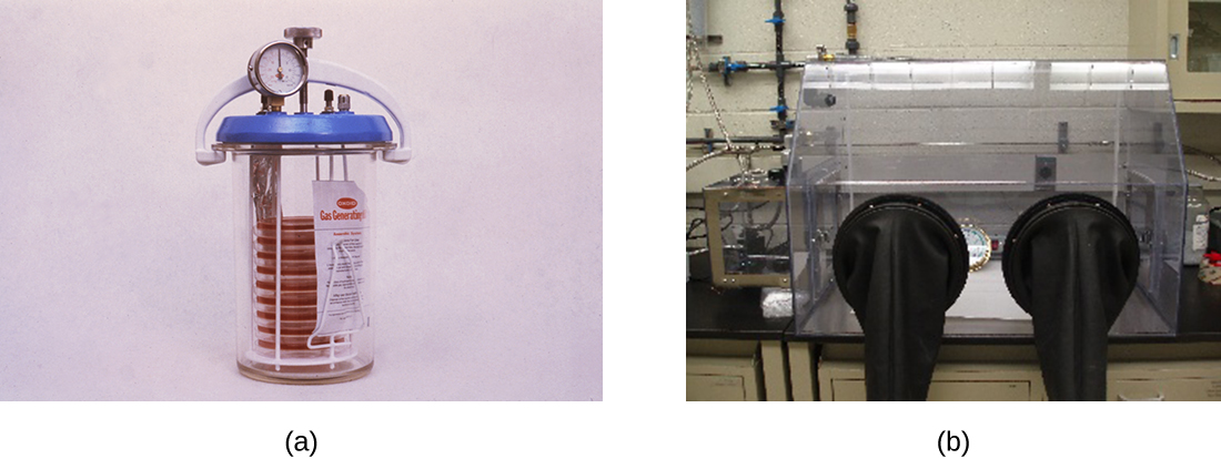 a) A photo of a stack of agar plates in a chamber. B) A photo of a chamber with sleeves for arms.