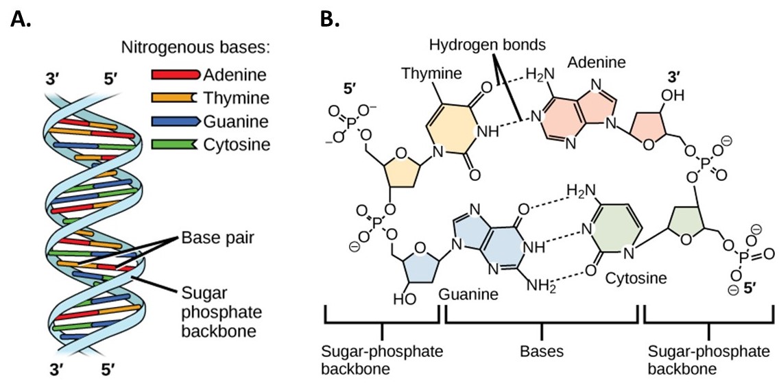 details found in the caption