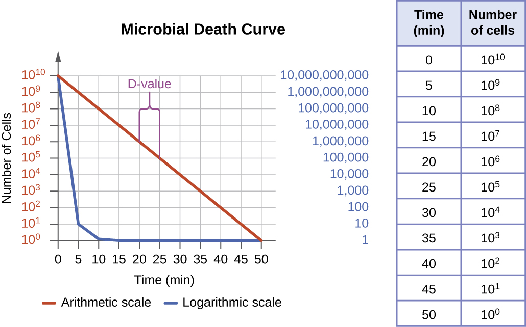 A table showing a decrease in number as microbial cells die. At time 0 there are 10 to the 10 cells. At time 5 there are 10 to the 9 cells. At time 10 there are 10 to the 8 cells.  At time 15there are 10 to the 7 cells. At time 20 there are 10 to the 6 cells. At time 25 there are 10 to the 5 cells. At time 30 there are 10 to the 4 cells. At time 35 there are 10 to the 3 cells. At time 40 there are 10 to the 2 cells. At time 45 there are 10 to the 1 cells. At time 50 there are 10 to the 0 cells. A graph titled microbial death curve. The X axis is time and the Y axis is number of cells. Two lines indicate what this graph looks like using an arithmetic and logarithmic scale. Both lines begin at 10 to the 10 at time 0. The arithmetic scale drops quickly and is indistinguishable from 0 by 10 minutes. The logarithmic scale slopes at a clean diagonal. The D value is shown as the time it takes to move from 10 to the 6 to 10 to the 5; this occurs in 5 minutes.