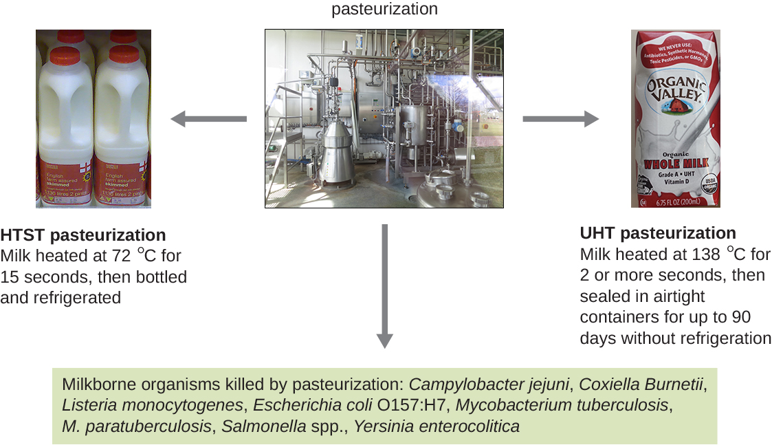 Pasteurization shows an image of a large machine. To the left is HTST pasteurization where milk is heated at 72 degrees C for 15 seconds, then boiled and refrigerated. To the right is UHT pasteurization where milk is heated at 138 degrees C for 2 or more seconds, then sealed in airtight containers for up to 90 days without refrigeration. To the bottom is the following test: milkborne organisms killed by pasteurization: Campylobacter jejuni, Coxiella burnetii, Listeria monocytogenes, Escherichia coli O157:H7, Mycobacterium tuberculosis, M. paratuberculosis, Salmonella spp., Yersinia enterocolitica.