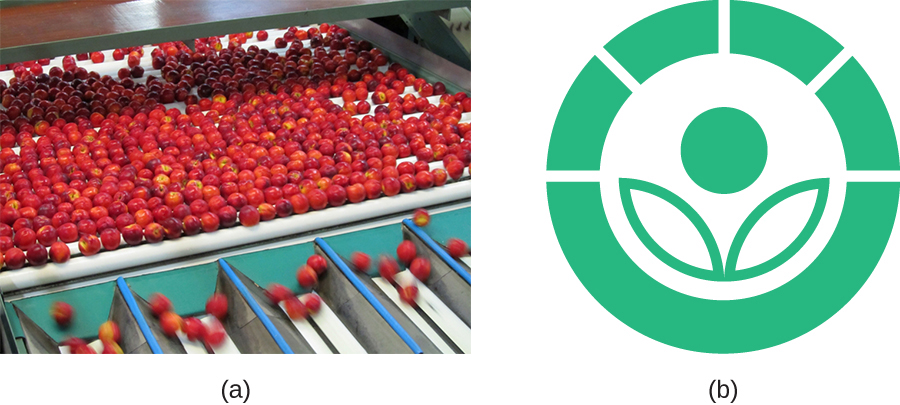 A) Peaches on a conveyor belt. B) The symbol for gamma-irradiated. A stylized flower (circle above 2 leaf shapes) inside a circle with 4 clear lines going through the circle near the top.