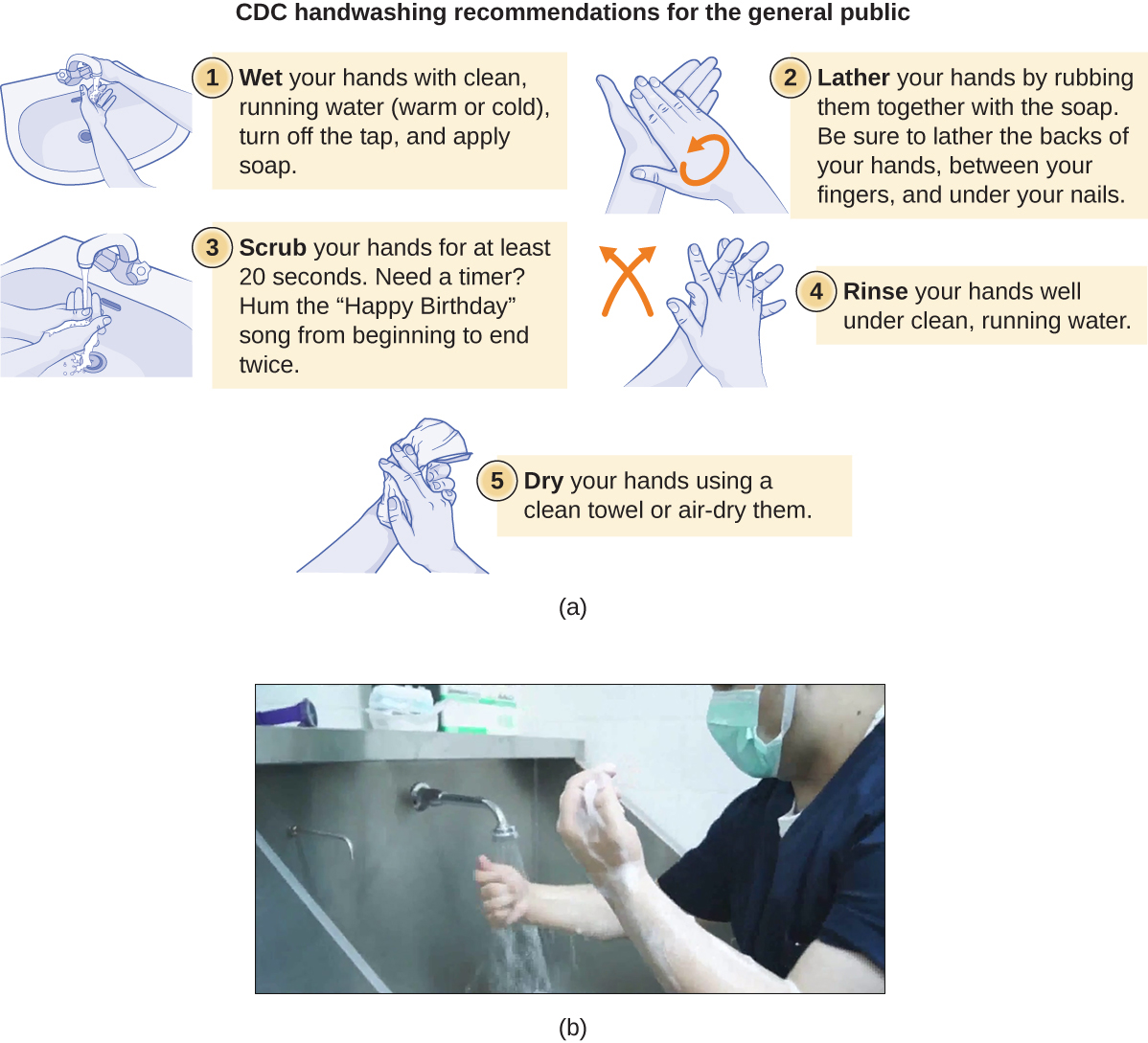 a) CDC handwashing recommendations for the general public. 1 – wet your hands with clean, running water (warm or cold). Turn off the tap and apply soap. 2 – Lather your hands by rubbing them together with the soap. Be sure to lather the backs of your hands, between your fingers and under your nails. 3 – Scrub your hands for at least 20 seconds. Need a timer? Hum the “Happy birthday” song from beginning to end twice. 4 – Rinse your hands well under clean, running water. 5 – Dry your hands using a clean towel or air-dry them. B) A photo of a person washing their hands.