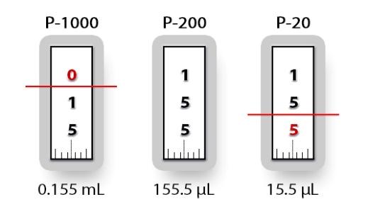 This image depicts the 3 digit number scale in 3 common sizs of micropipettes. The example setting is labeled with the volume that will be dispensed for each micropipette.