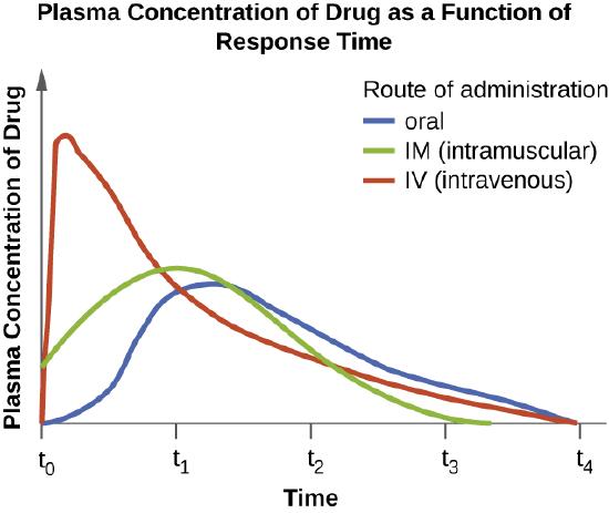 Graph with time on the X axis and Plasma Concentration of Drug on the Y axis. IV route increases plasma concentration very quickly and then tapes off. Intramuscular rout and oral route increase concentrations more slowly with the intramuscular route being a bit faster than oral but also dropping off more quickly.
