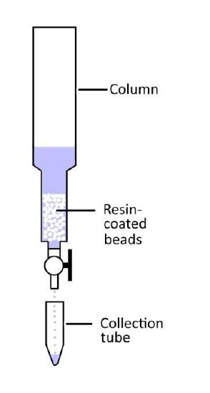 An image of a column with resin beads and a collection tube